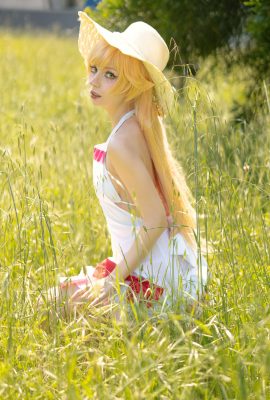 Himeecosplay – 忍野忍