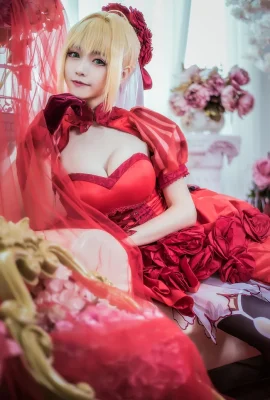 Fate/Extra 尼祿克勞狄烏斯薔薇禮服.ver cn：大大捲卷小卷(12 相片)