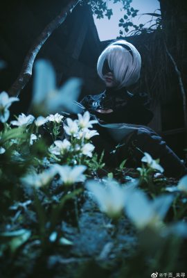 (千頁_未尋) 2B Cos