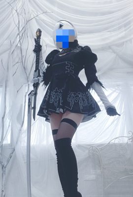 (黑)尼爾2B