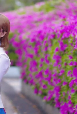 Nikukyu Ayato  –  Hanayo Koizumi