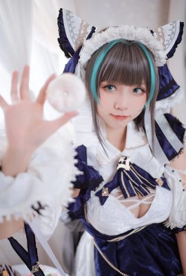 (大大卷卷衃韂碧藍航線 柴郡