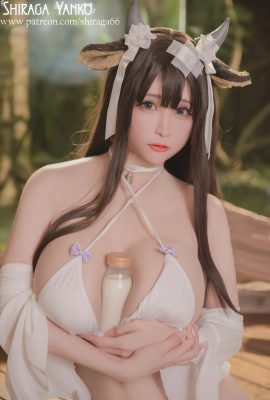Shiraga Yanko  –  Kashino Azur Lane