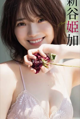 (新谷姫加) 可愛與外貌兼具 看了超上火 (27 圖片)